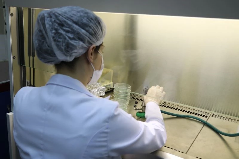 Profesör ve araştırma görevlisi günlerce çalışıp finale kaldı
