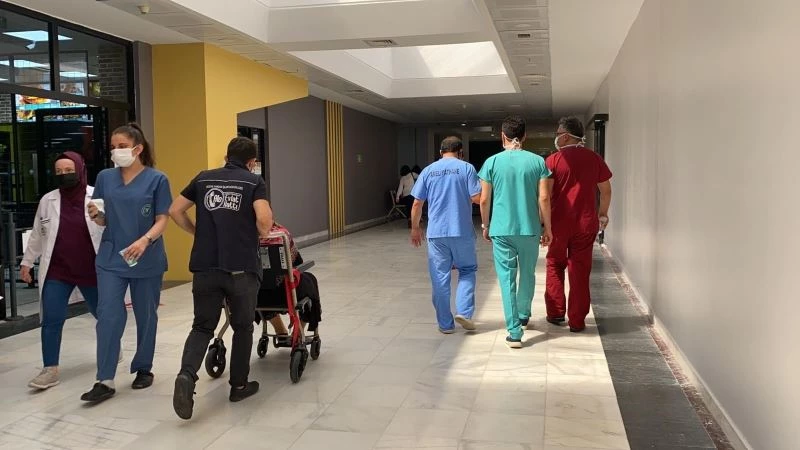 Kartepeli çınarlar yalnız bırakılmıyor
