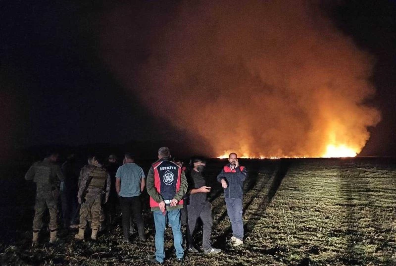 Yüksekova Nehil Sazlığı’nda yangın
