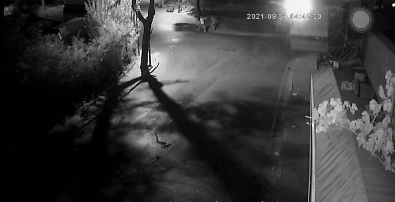 MİLLİ SPORCUYA HIRSIZLIK ŞOKU: OTOMOBİLİNİ 3 DAKİKADA ÇALDILAR