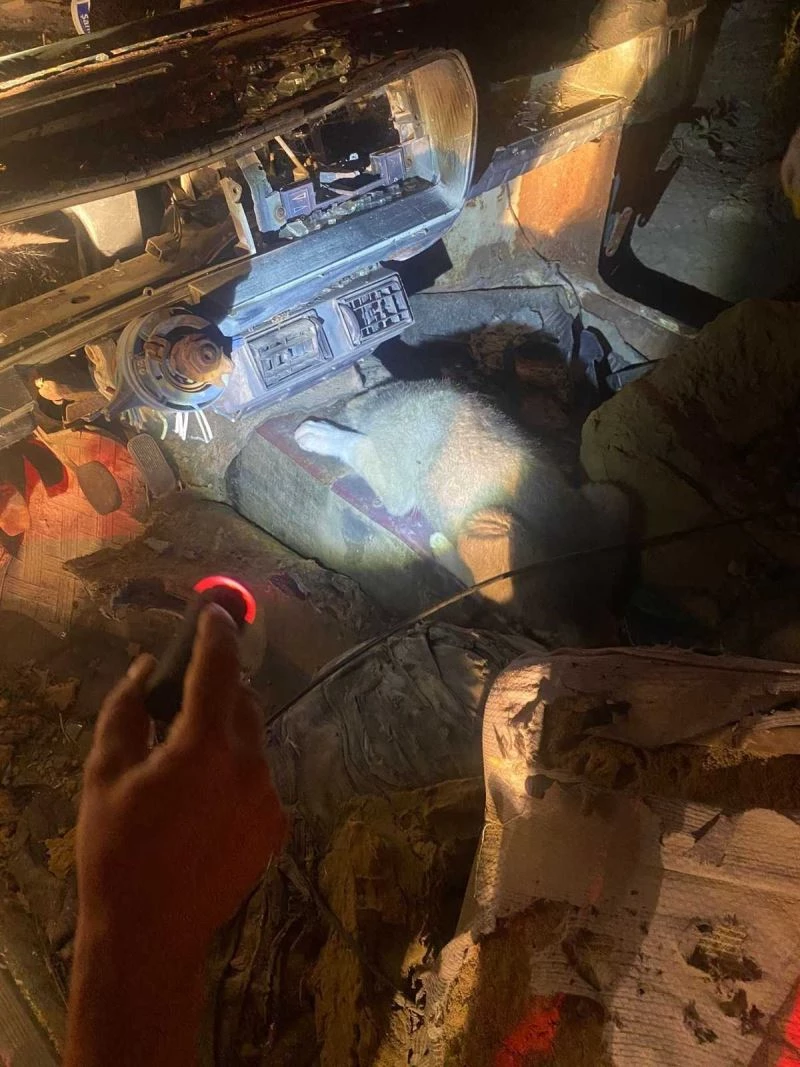 Kafası vites boşluğuna sıkışan köpeği itfaiye kurtardı
