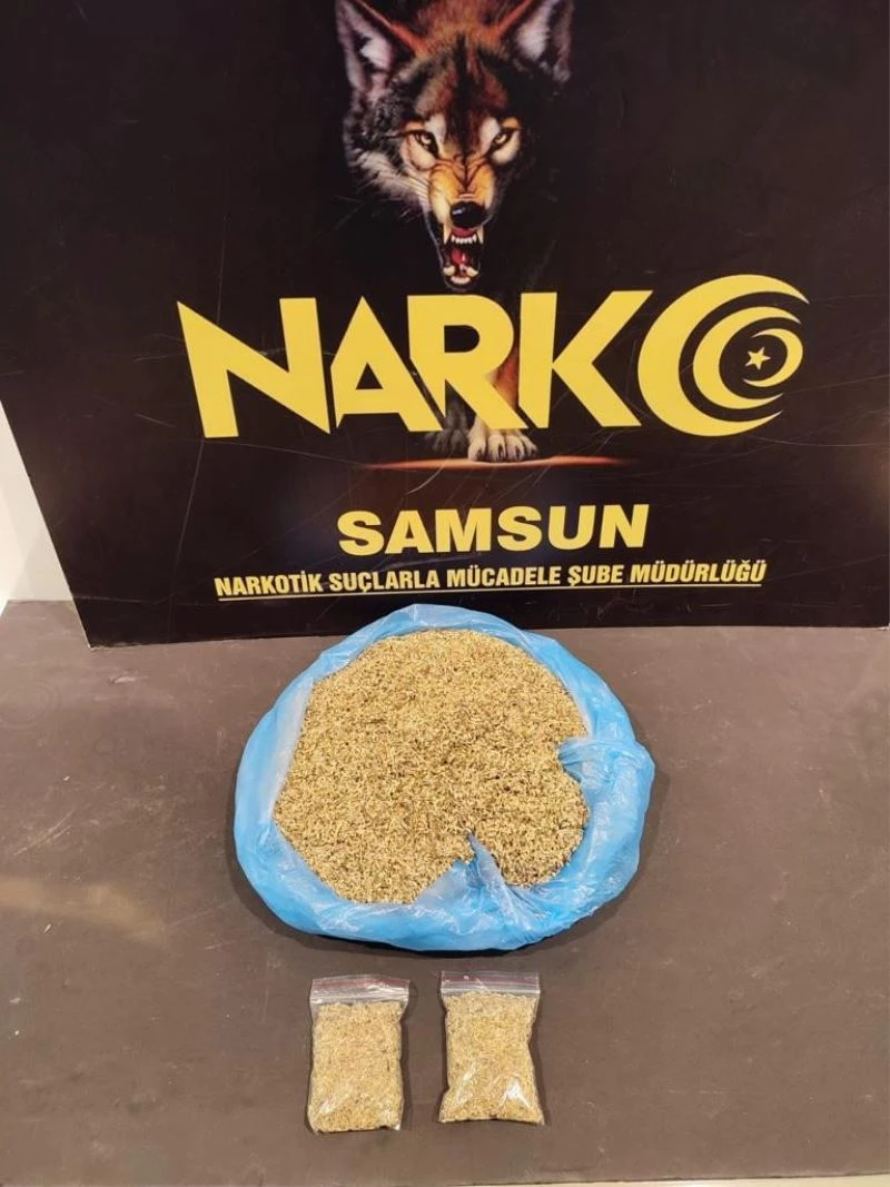 Samsun’da evinde 477,69 gram bonzai ele geçen bir kişiye gözaltı
