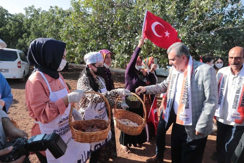 Geleneksel şire şenliğinde renkli görüntüler
