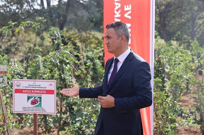 Ulupınar köyünde kırmızı meyve hasadı yapıldı
