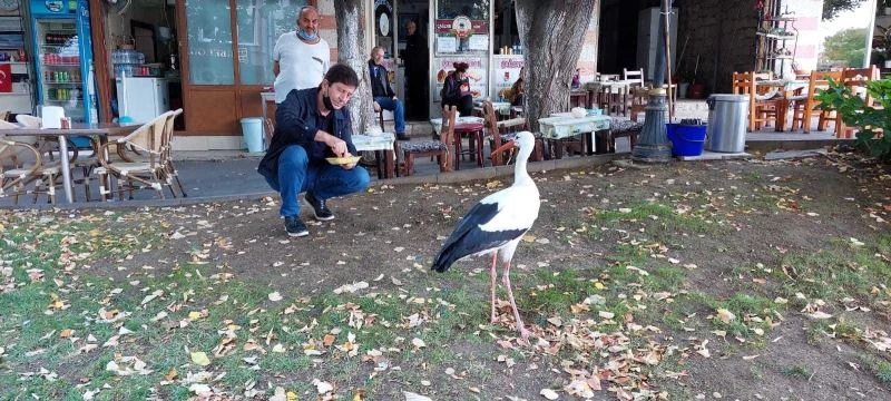 Sürüsünü terk etti mahallenin sakini oldu
