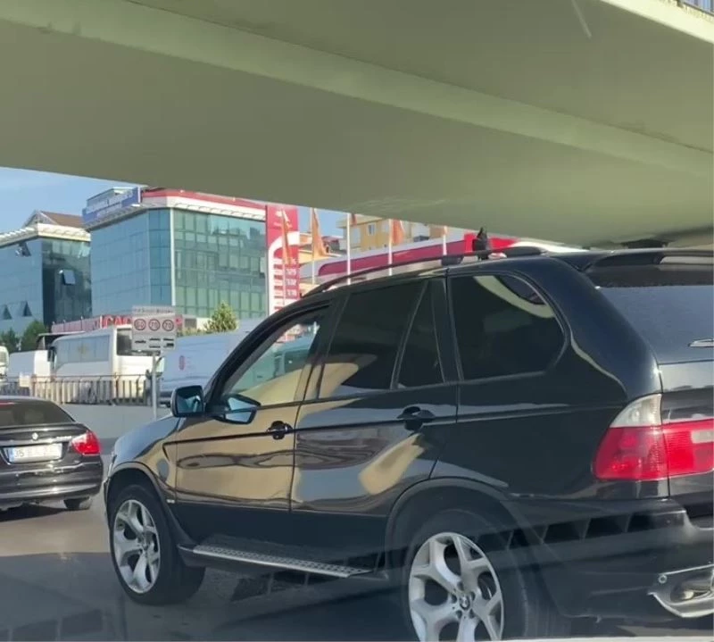 Uçmayı bıraktı, arabanın üzerinde seyahat etti
