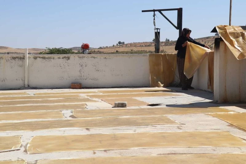 Kadınların bastık mesaisi
