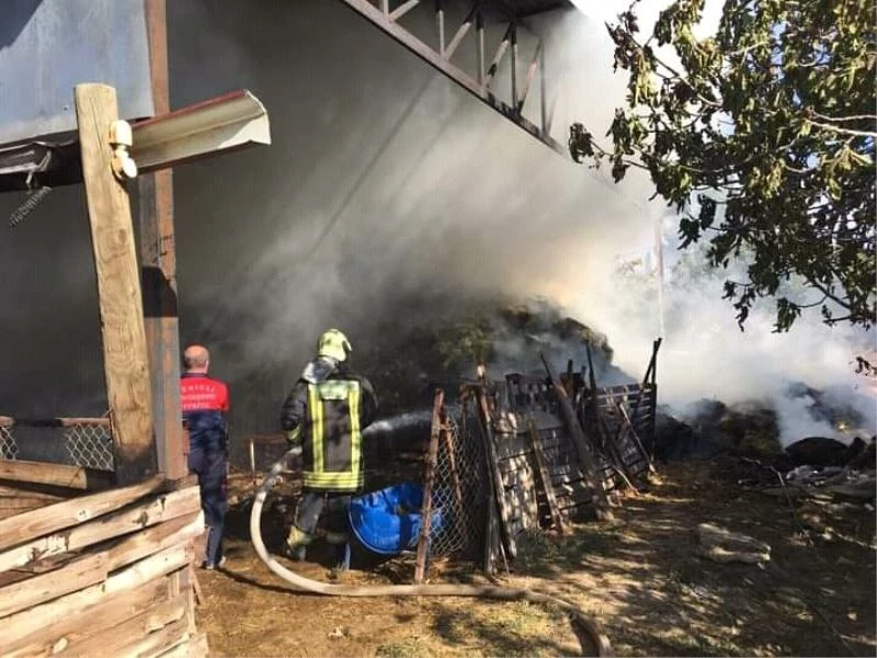 Besihane yangınında 80 kuzu telef oldu
