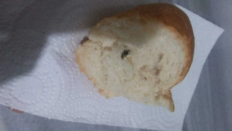 Ekmekten yine sinek çıktı
