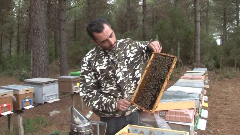 (Özel) İstanbul’da başladığı arıcılıkta bal siparişlerine yetişemiyor
