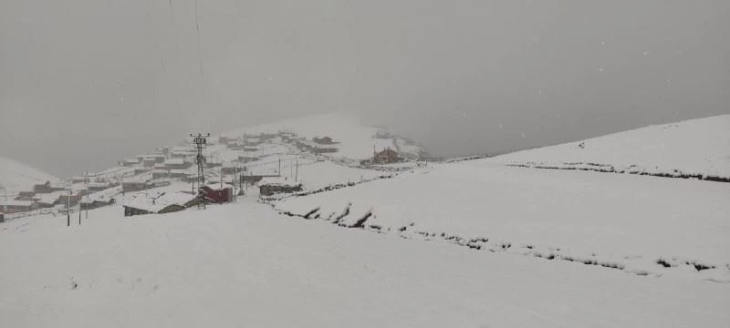 Trabzon’un yaylaları beyaza büründü
