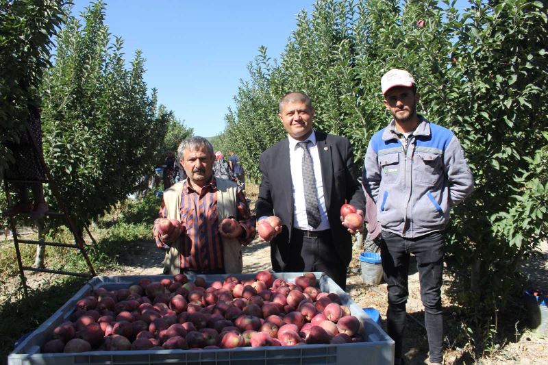 Isparta’da dalında 2,5 liraya kadar alınan elmanın büyük marketlerde 7-8 lira arasında satılmasına tepki
