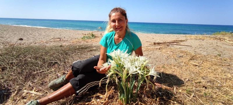 Bu çiçeği koparmak bir servete mal oluyor
