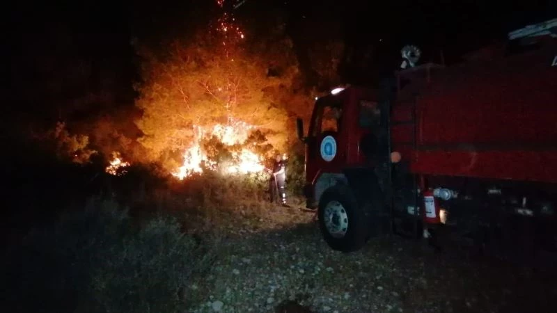 Orman yangını yerleşim yerlerine ulaşmadan söndürüldü