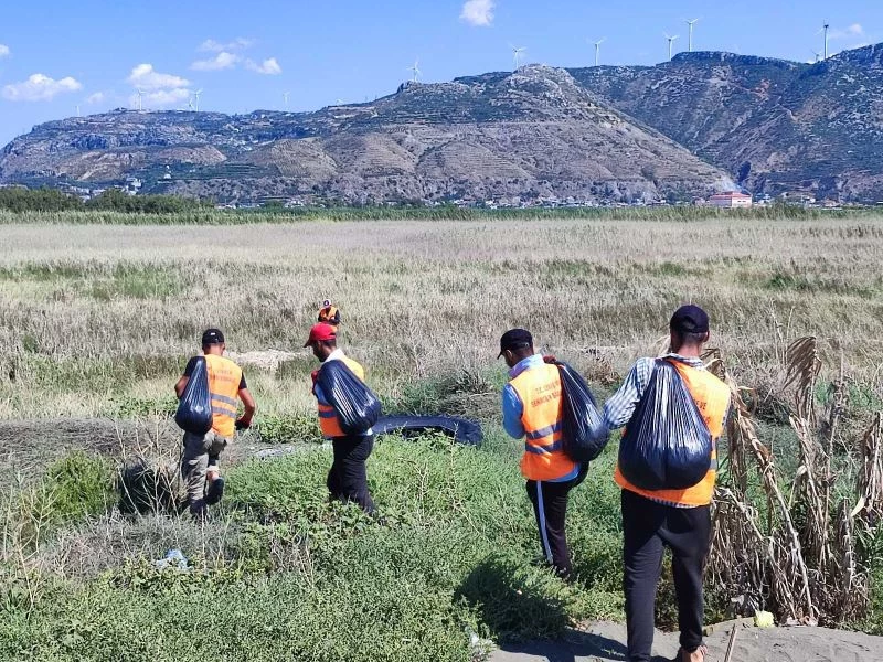 Su sümbüllerinin kapladığı sahilde petrol temizliği
