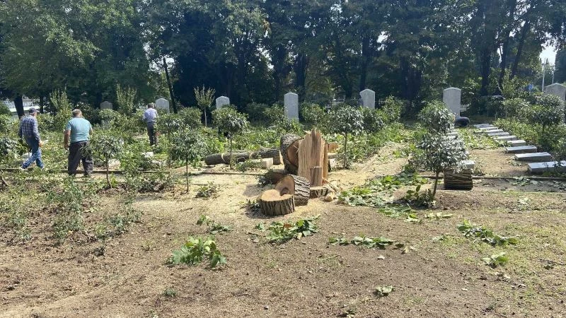 Edirnekapı Şehitliğinde İBB’nin kestiği ağaçlar mezarlığın üzerine devrildi
