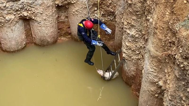 Donmak üzere olan köpek 15 metrelik çukurdan itfaiye tarafından kurtarıldı