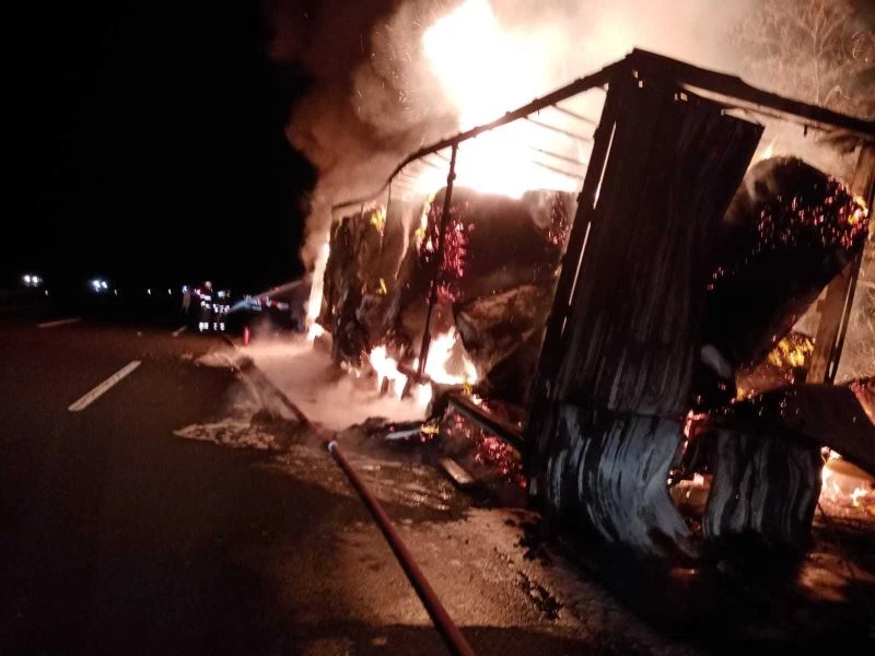 Kırklareli’nde kağıt havlu yüklü tır alev aldı

