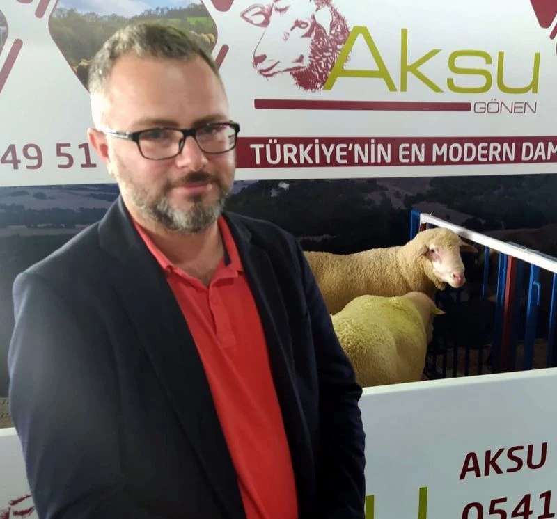 Festivalde Türk Merinos koyununa yoğun ilgi
