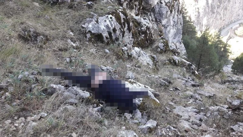 Isparta’da 4 gündür kayıp olan Alişan’ın cansız bedeni bulundu
