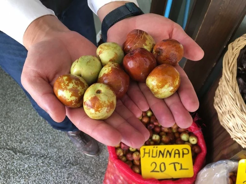 Faydaları saymakla bitmeyen hünnaba ilgi büyük
