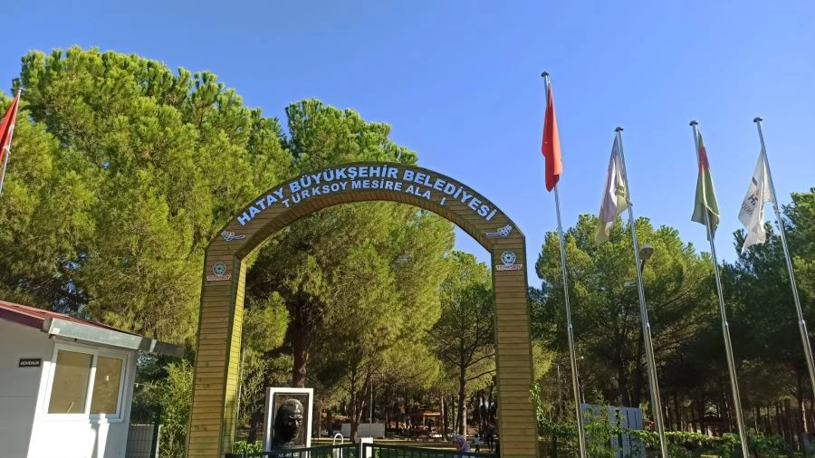 5 ay önce açılan Türksoy mesire alanına büyük ilgi