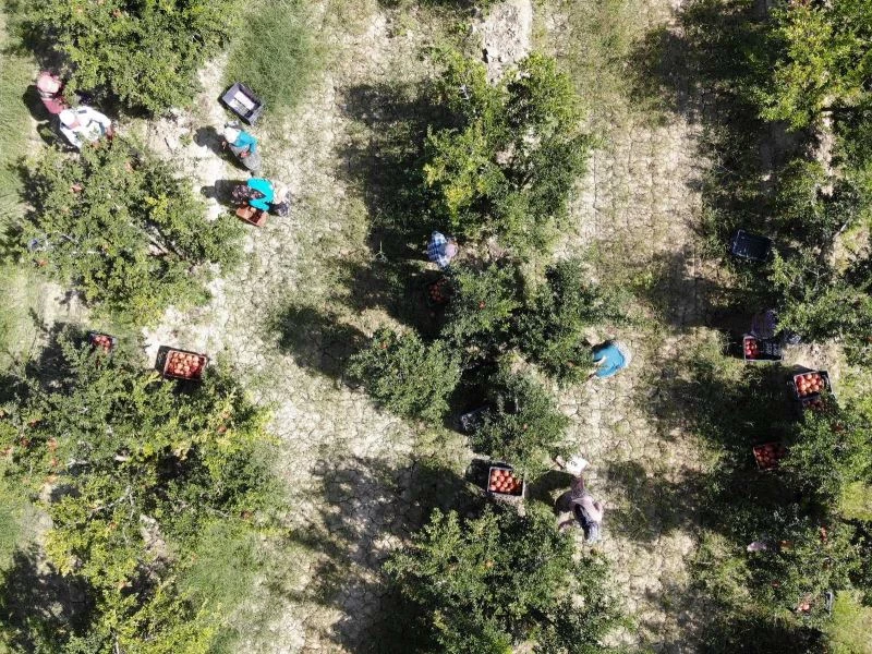 Nar üreticisinin yüzünü güldürecek
