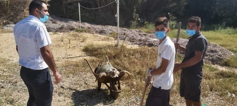 Ağzında poşetle kıyıya vurdu
