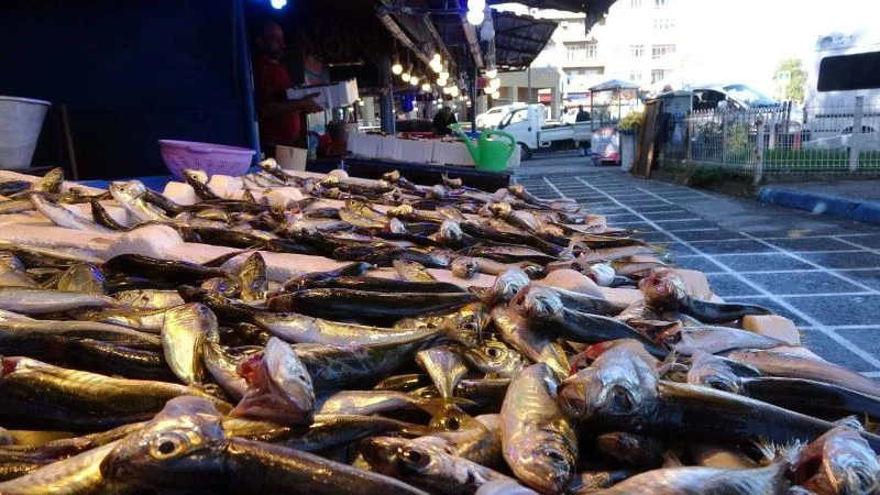 Balık sezonu açıldı: Karadeniz’de istavrit ve çinekop yüzleri güldürüyor
