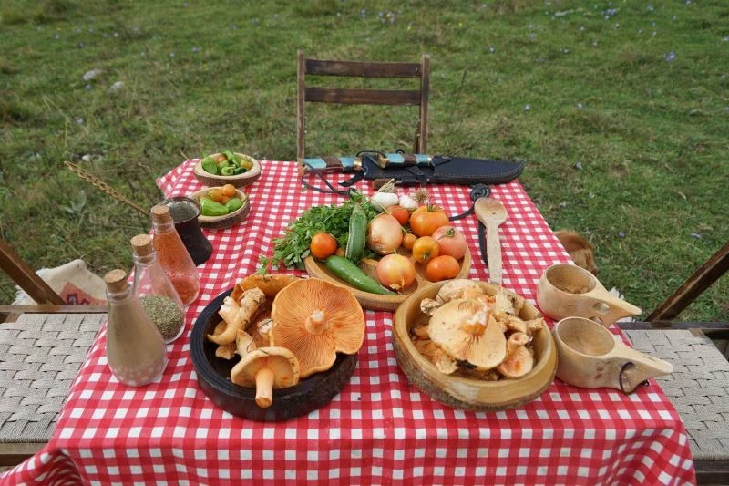 Son 15 günde 35 kişi yedikleri mantardan zehirlendi
