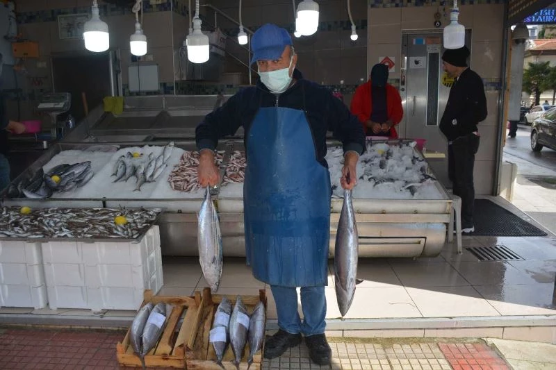 Bu balığın tanesi 250 TL