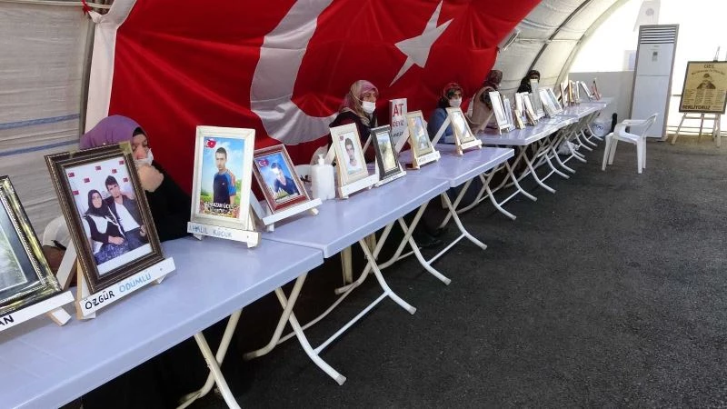 Evlat hasreti çeken baba Ödümlü: “Onların çocukları Avrupa’da yaşıyorlar bizimkiler dağda cenazeleri bile göremiyoruz”
