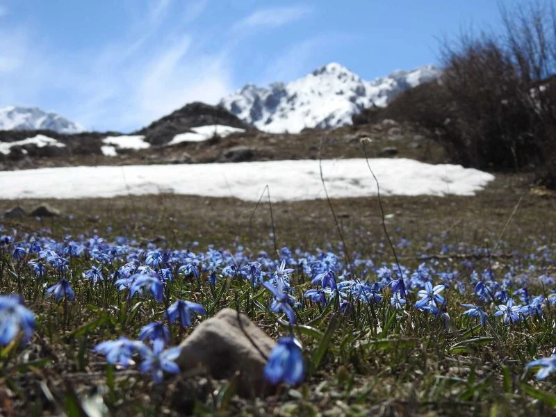 Doğu’da hava sıcaklığı mevsim normallerinin 1 ila 3 derece altında seyretmesi bekleniyor
