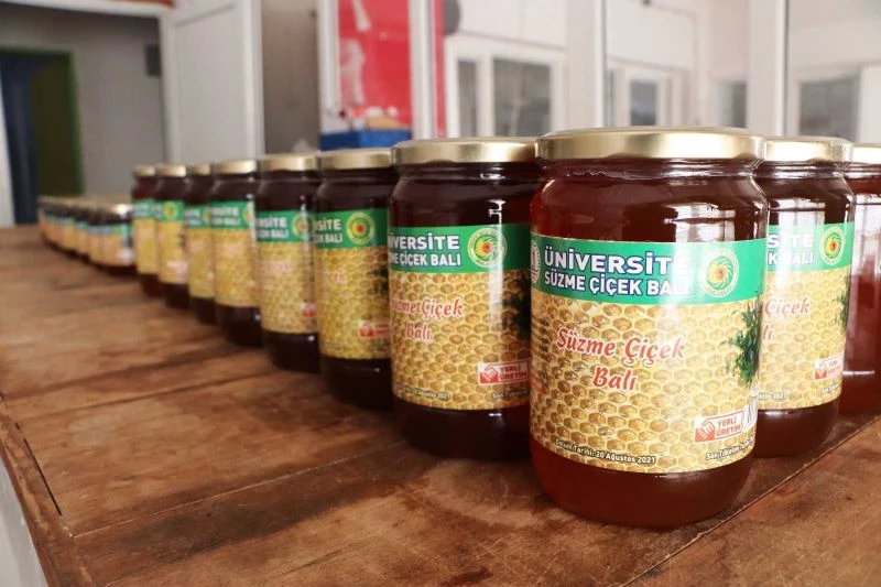Ziraat Fakültesinden en tatlı üretim: 3 ayda 2,5 ton bal
