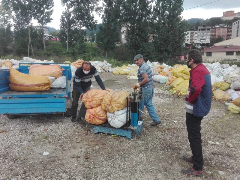 Ordu’da toptan elma alımları sürüyor
