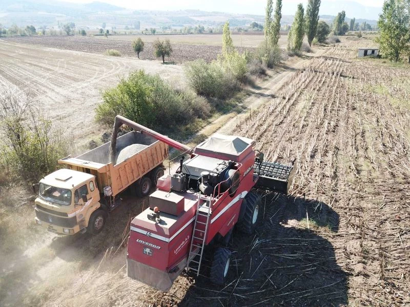 Ay çiçeklerinin ilk hasadını Başkan Suer yaptı
