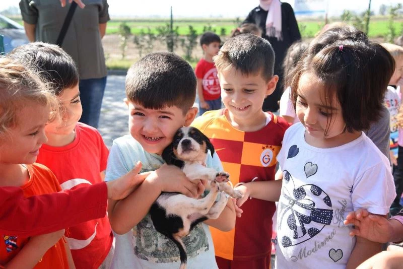 Balıkesir Büyükşehir’den sokaktaki canlar için aileye katılma hareketi
