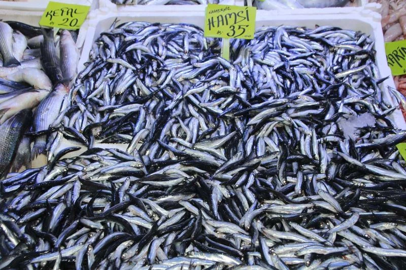 Tezgahların vazgeçilmesi hamsi oldu
