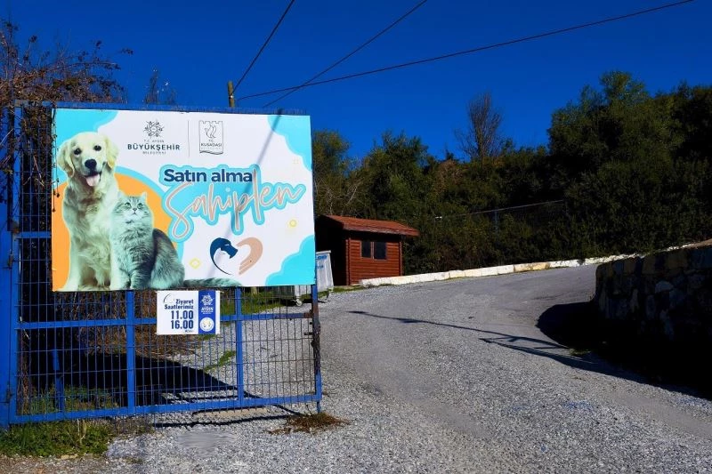 Kuşadası Belediyesi, 9 ayda 2 bin 95 can dosta ev sahipliği yaptı
