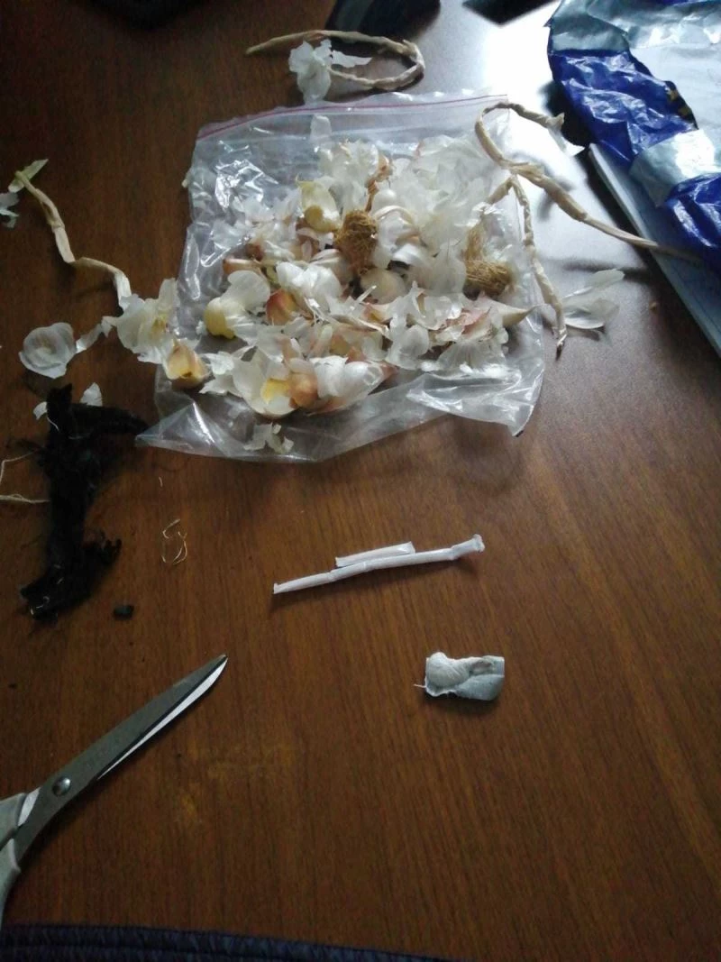 Uyuşturucuyu sarımsağa sarıp kargoyla gönderdiler
