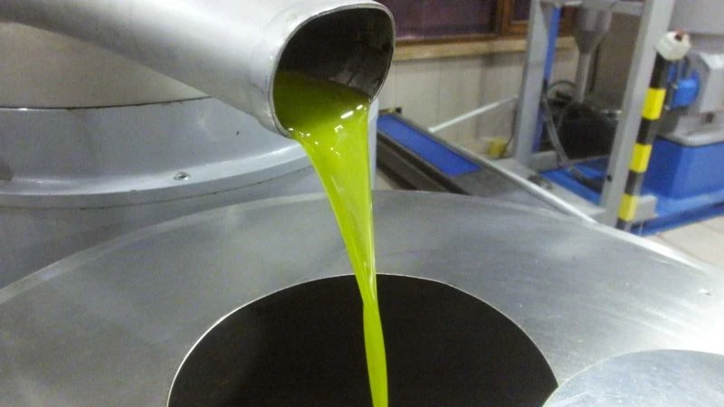 Edremit Körfezinde erken hasat zeytinyağlarındaki yüksek kalite sevindirdi
