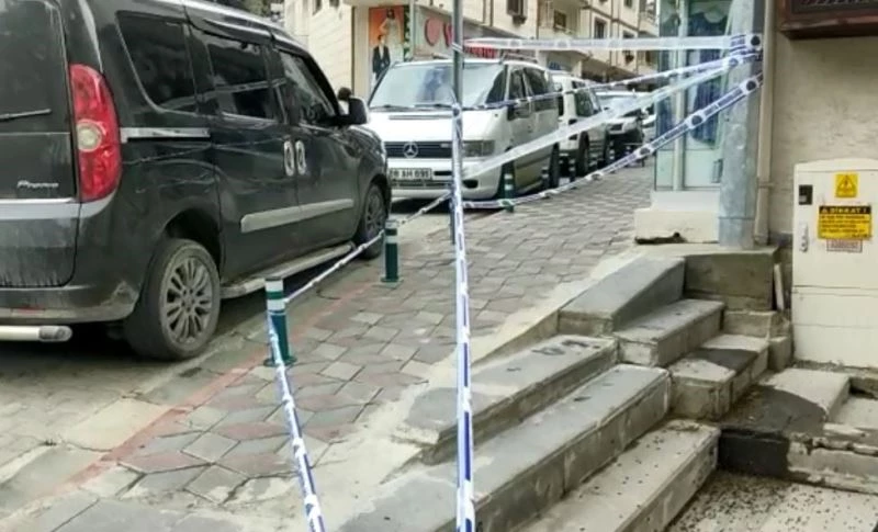 Artvin’de caddeyi arılar bastı
