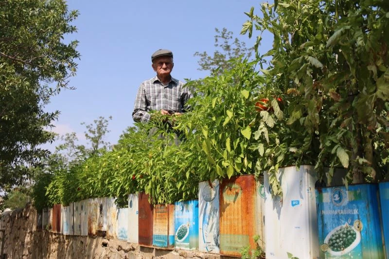 Bu ürünler ‘Teneke Tarlası’nda yetişiyor
