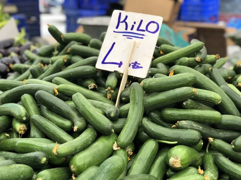 Ağustos’ta fiyatı en çok artan ürün olan salatalık 4 liradan alıcı buluyor
