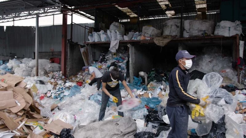 Güngören’de her bina 5 ağacı kesilmekten kurtardı
