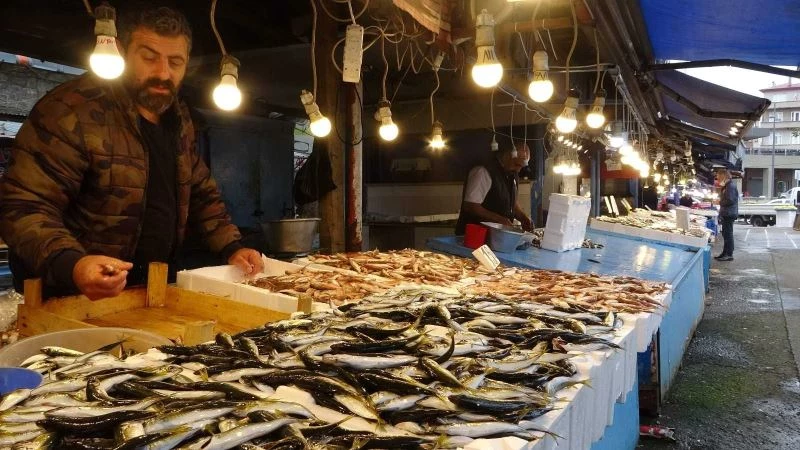 Hamsi ve palamut kayıplarda
