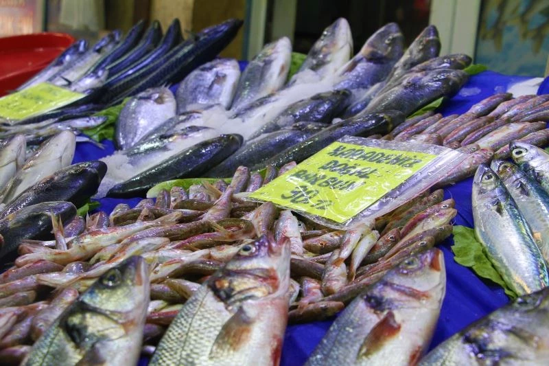 Av sezonu açıldı, yarımada konumundaki Elazığ’da balıklar tezgahlardaki yerini aldı
