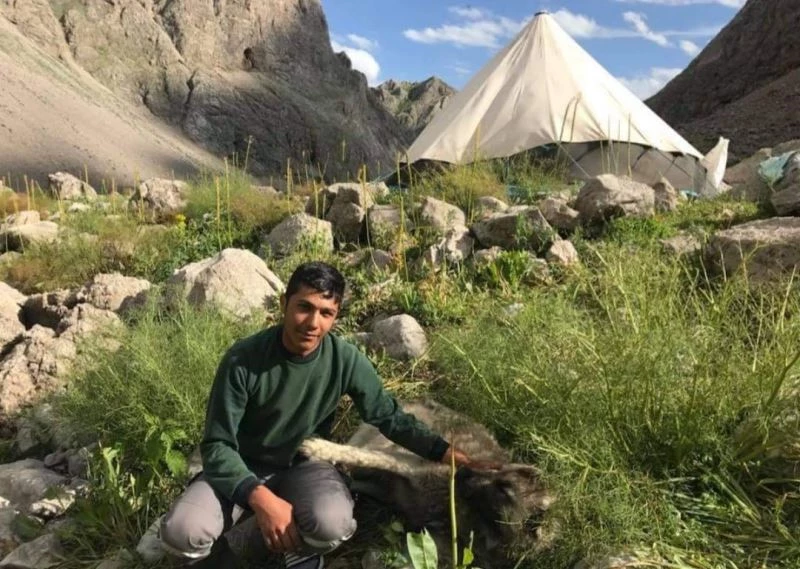 Koyunlara bakarken ders de çalıştı, hayalini kurduğu tıp fakültesini kazandı
