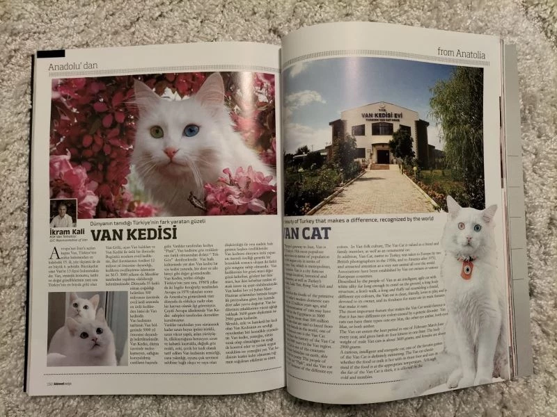 Van Kedisi Küresel Medya Dergisinde
