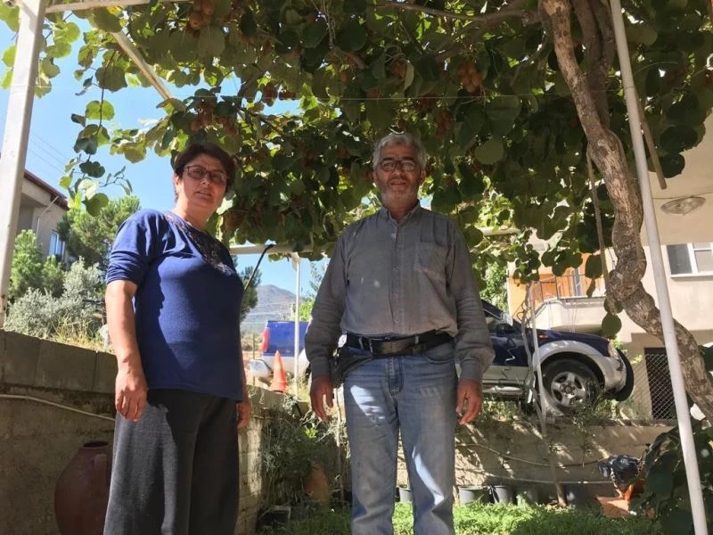 12 yıl önce ektiği fidan ekmek kapısı oldu
